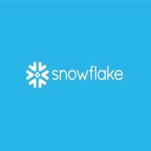 Snowflake Corporate training
